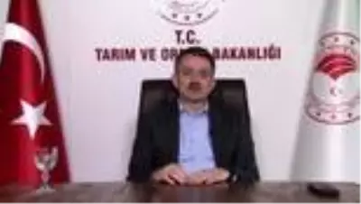 Bakan Pakdemirli: 'Tarım ve hayvancılık faaliyetlerinde bulunanlar sokağa çıkma yasağından muaf... Bakan Pakdemirli: 'Tarım ve hayvancılık faaliyetlerinde bulunanlar sokağa çıkma yasağından muaf...