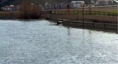 Çoruh Nehri'nde yüzen tabutlar, büyük paniğe neden oldu.