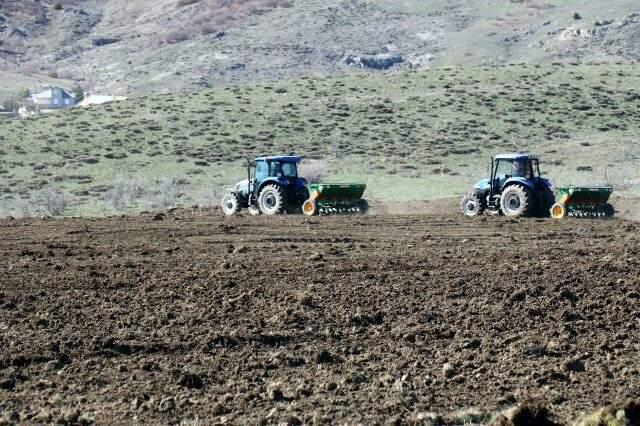 Gümüşhane'de 20 yıldır ekilmeyen tarlalara aspir bitkisi ekilmeye başlandı