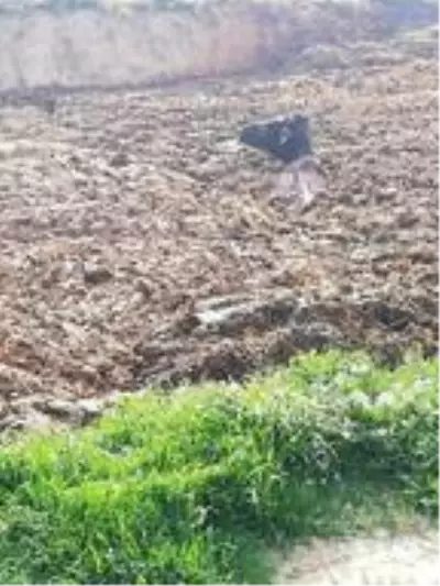 Hayvan pisliğine saplanan ineği itfaiye kurtardı