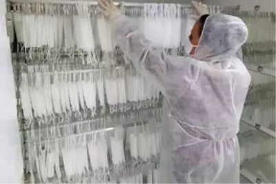 Karabük Belediyesi 350 bin maske üretecek Karabük Belediyesi 350 bin maske üretecek