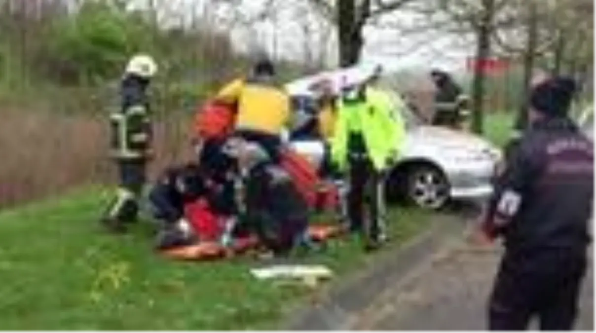 KOCAELİ Otomobil ağaca çarptı: 2 yaralı