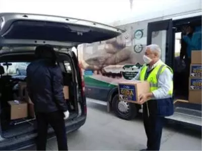 Trabzon ve Ordu'da Kovid-19 tedbirleri Trabzon ve Ordu'da Kovid-19 tedbirleri