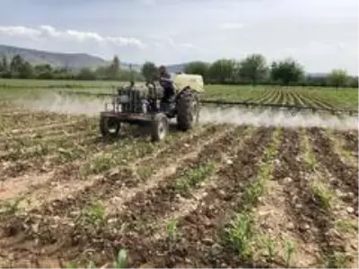 Türkiye koronavirüsle mücadele ederken çiftçiler üretime ara vermeden devam ediyor Türkiye koronavirüsle mücadele ederken çiftçiler üretime ara vermeden devam ediyor