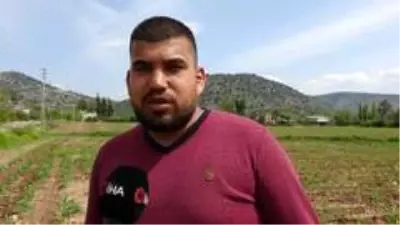 Türkiye koronavirüsle mücadele ederken çiftçiler üretime ara vermeden devam ediyor Türkiye koronavirüsle mücadele ederken çiftçiler üretime ara vermeden devam ediyor