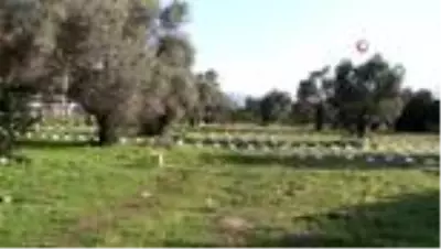 Arı üretimine kadın eli değdi, kalite yükseldi Arı üretimine kadın eli değdi, kalite yükseldi