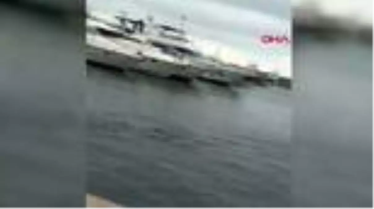 ATAKÖY MARİNA'DA YUNUSLARIN DANSI