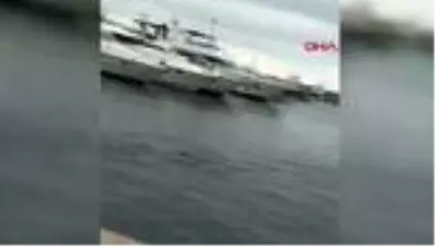 ATAKÖY MARİNA'DA YUNUSLARIN DANSI ATAKÖY MARİNA'DA YUNUSLARIN DANSI