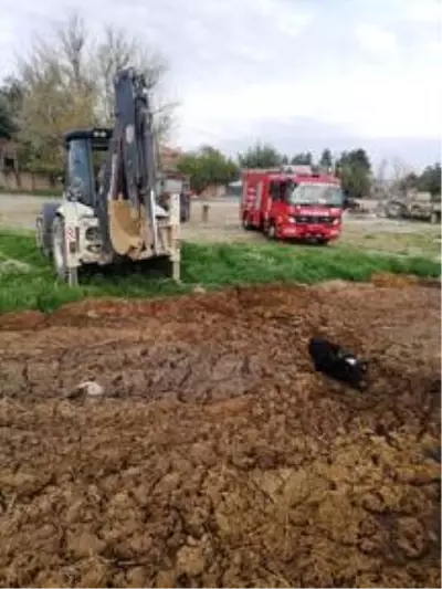 Denizli'de hayvan gübresine gömülen ineği itfaiye kurtardı