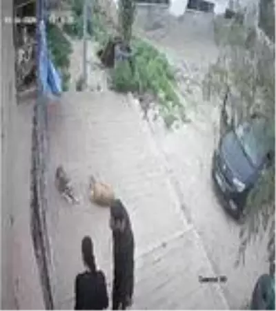 Kozan'da belediye barınağına köpek ölüsü bırakılma görüntüleri ortaya çıktı Kozan'da belediye barınağına köpek ölüsü bırakılma görüntüleri ortaya çıktı