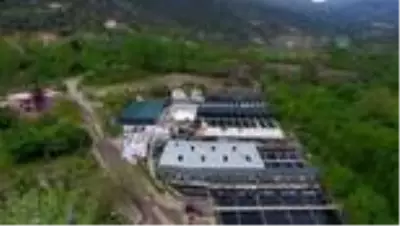 Mut'ta alabalık üretimi 250 tona çıkarıldı Mut'ta alabalık üretimi 250 tona çıkarıldı