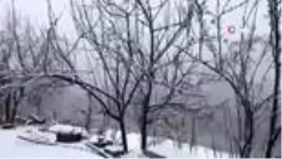 Ordu'da yüksek kesimlere bahar ayında lapa lapa kar yağdı