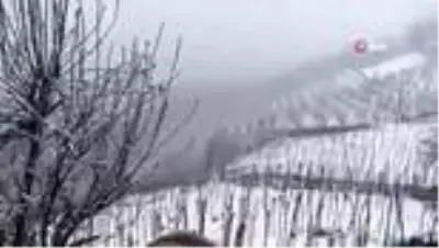 Ordu'da yüksek kesimlere bahar ayında lapa lapa kar yağdı