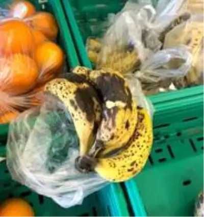 Poşette satış fırsatçılarına darbe üstüne darbe Poşette satış fırsatçılarına darbe üstüne darbe