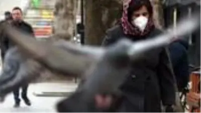 Son dakika: DSÖ, Türkiye'deki vaka sayısını bazı Avrupa ülkeleriyle kıyasladı: Azalma yok, artış var.