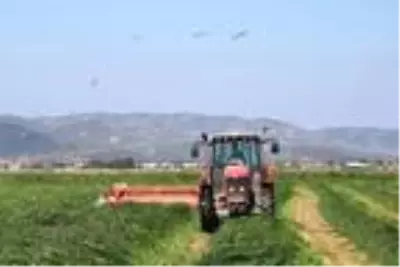 Foçalı çiftçi, hem ekim, hem de hasat için tarlada Foçalı çiftçi, hem ekim, hem de hasat için tarlada
