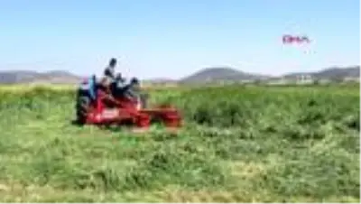 İZMİR Foçalı çiftçi, hem ekim, hem de hasat için tarlada İZMİR Foçalı çiftçi, hem ekim, hem de hasat için tarlada