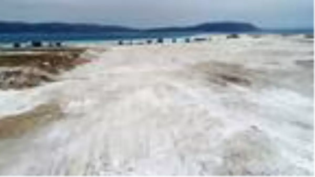 'Salda kumullarında çok değerli mineral var'