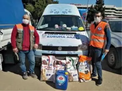 Trabzon'da hayvanlar için sokaklara 5 bin kilogram mama bırakıldı Trabzon'da hayvanlar için sokaklara 5 bin kilogram mama bırakıldı
