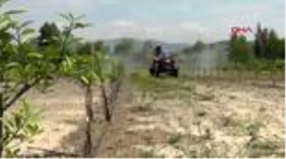 ADANA Kozan'da çiftçiler çalışmaya devam etti