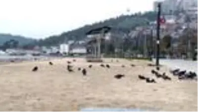 Turizm Bakanı'nın Mayıs sonu normalleşme başlayabilir sözü turizmcileri umutlandırdı