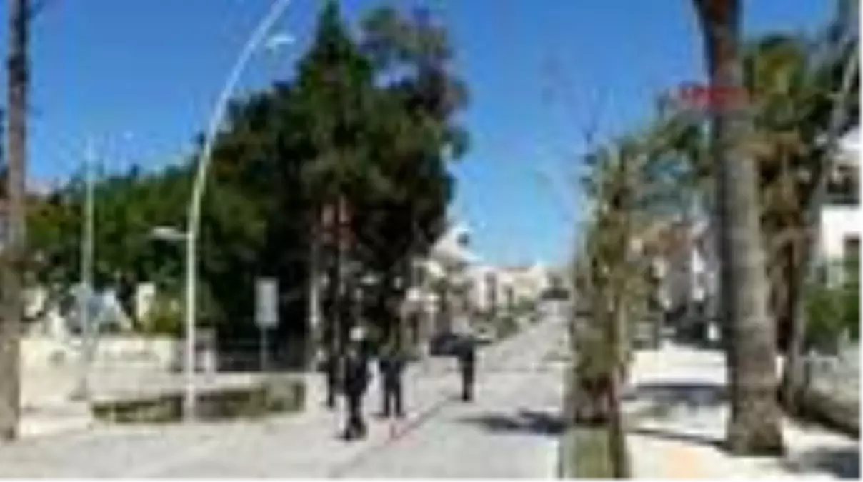 MUĞLA Datça sokak hayvanlarına kaldı