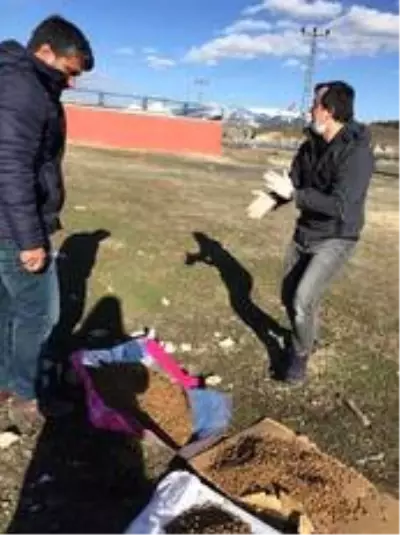 Sarıkamış Kaymakamlığı sokak hayvanları için mama ve su bıraktı Sarıkamış Kaymakamlığı sokak hayvanları için mama ve su bıraktı