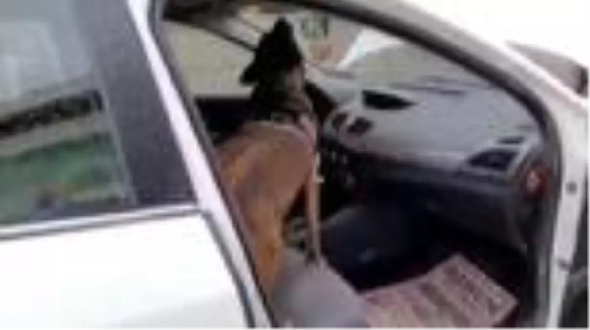 Uyuşturucu operasyonunda 3 kişi gözaltına alındı