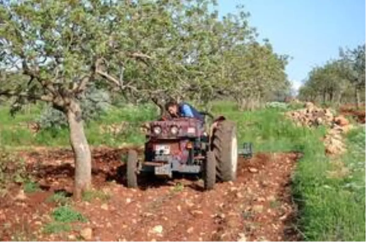 Halfetili çiftçilerin ekim telaşı başladı