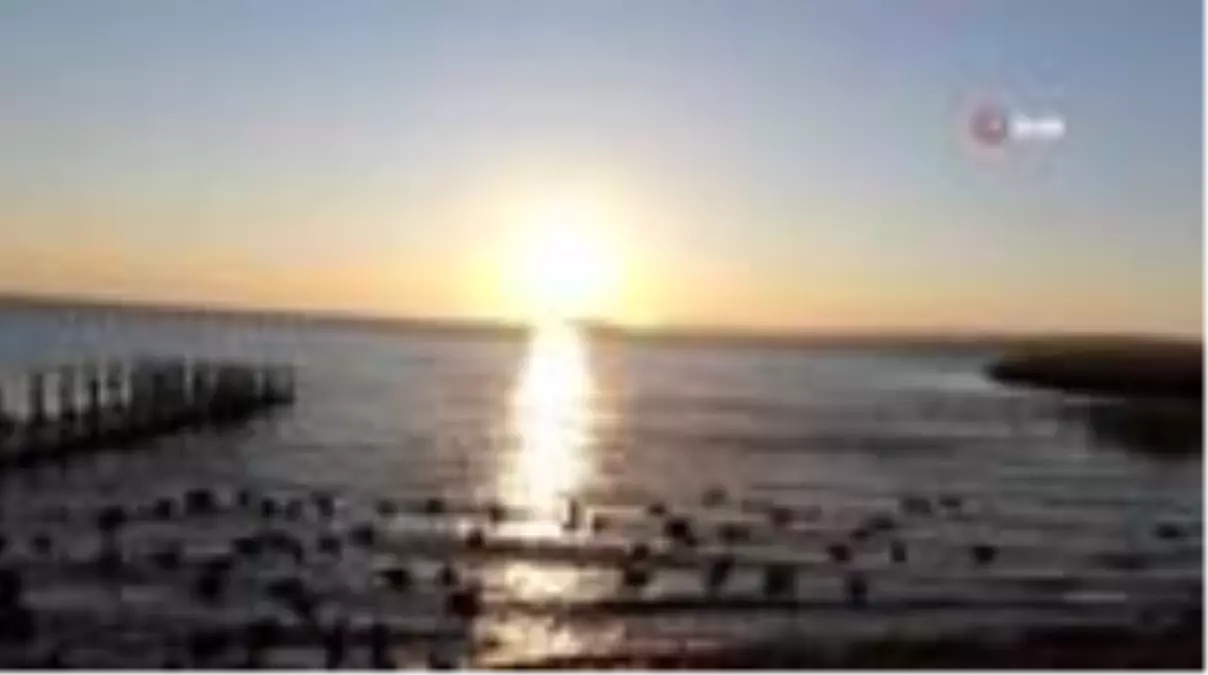 Jandarma yaban ördeklerini unutmadı