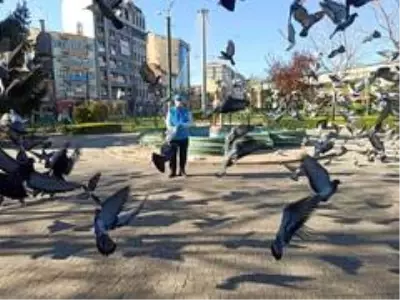 TDV gönüllüleri ve din görevlileri yaşlı ve hastaların yardımına koşuyor