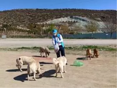 TDV gönüllüleri ve din görevlileri yaşlı ve hastaların yardımına koşuyor