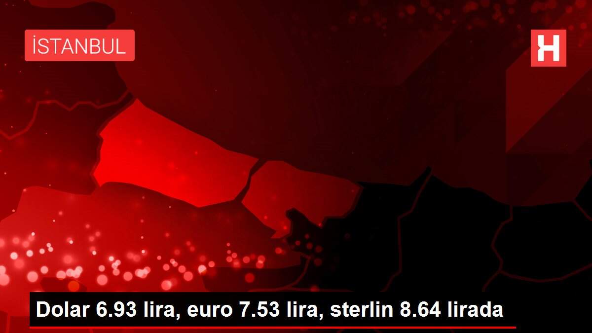 Dolar 6.93 lira, euro 7.53 lira, sterlin 8.64 lirada