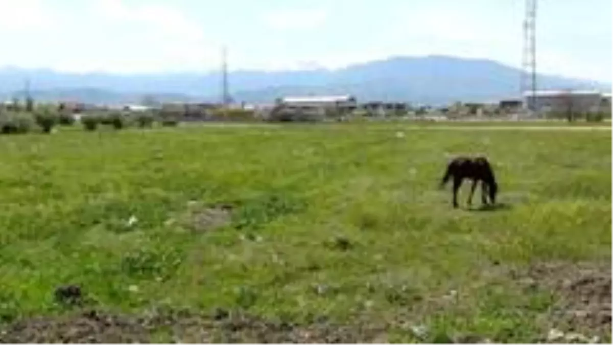 İnegöl'de sokağa çıkma kısıtlamasının ikinci günü böyle geçti