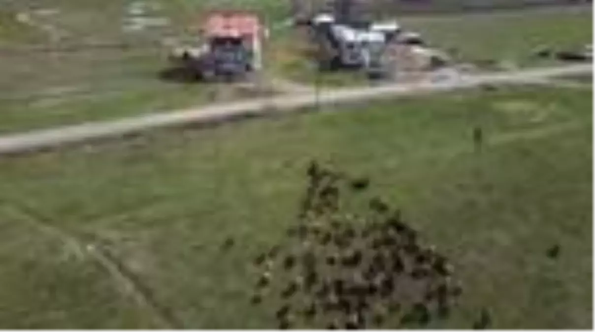 Meralar küçükbaş hayvanlarla şenlendi