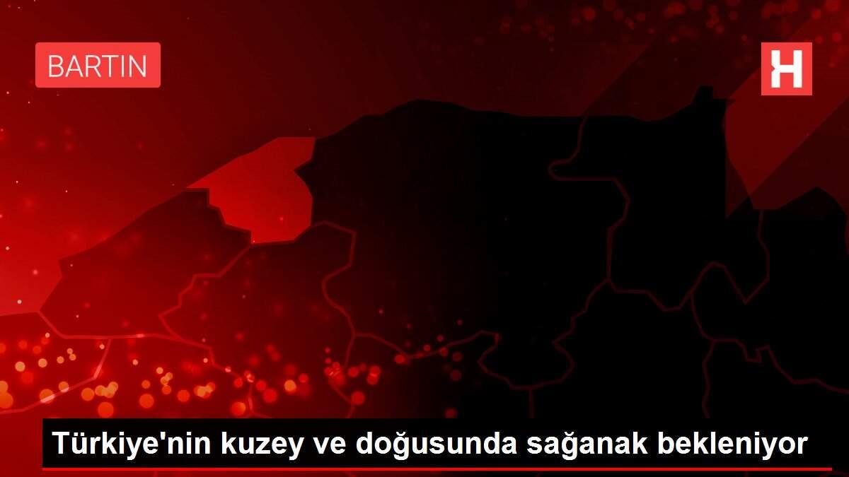 Türkiye'nin kuzey ve doğusunda sağanak bekleniyor