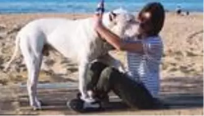 Genç oyuncu Alina Boz, ölen köpeğine veda etti: Kalbimin en güzel yerinde olacaksın Genç oyuncu Alina Boz, ölen köpeğine veda etti: Kalbimin en güzel yerinde olacaksın
