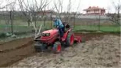 Din görevlileri bahçe suluyor, ağaç buduyor