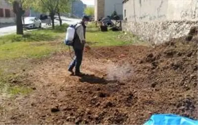 Keban Belediyesinden haşere ile mücadele çalışması Keban Belediyesinden haşere ile mücadele çalışması