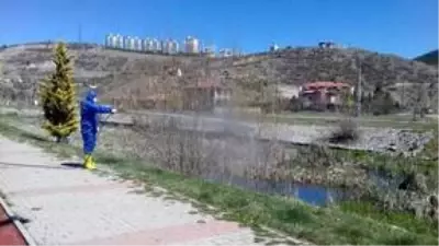 Kızılcahamam'da haşerelere yönelik ilaçlama çalışmaları devam ediyor
