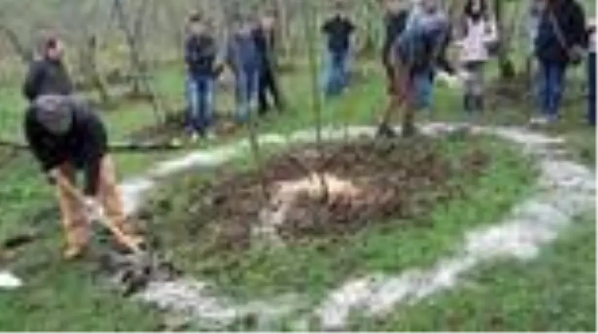 Korona virüs fındık ihracatını engelleyemedi