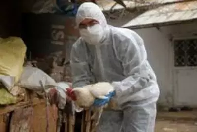 Aile karantinaya alındı, hayvanlarına Vefa ekibi bakmaya başladı Aile karantinaya alındı, hayvanlarına Vefa ekibi bakmaya başladı