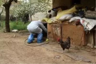 Aile karantinaya alındı, hayvanlarına Vefa ekibi bakmaya başladı Aile karantinaya alındı, hayvanlarına Vefa ekibi bakmaya başladı