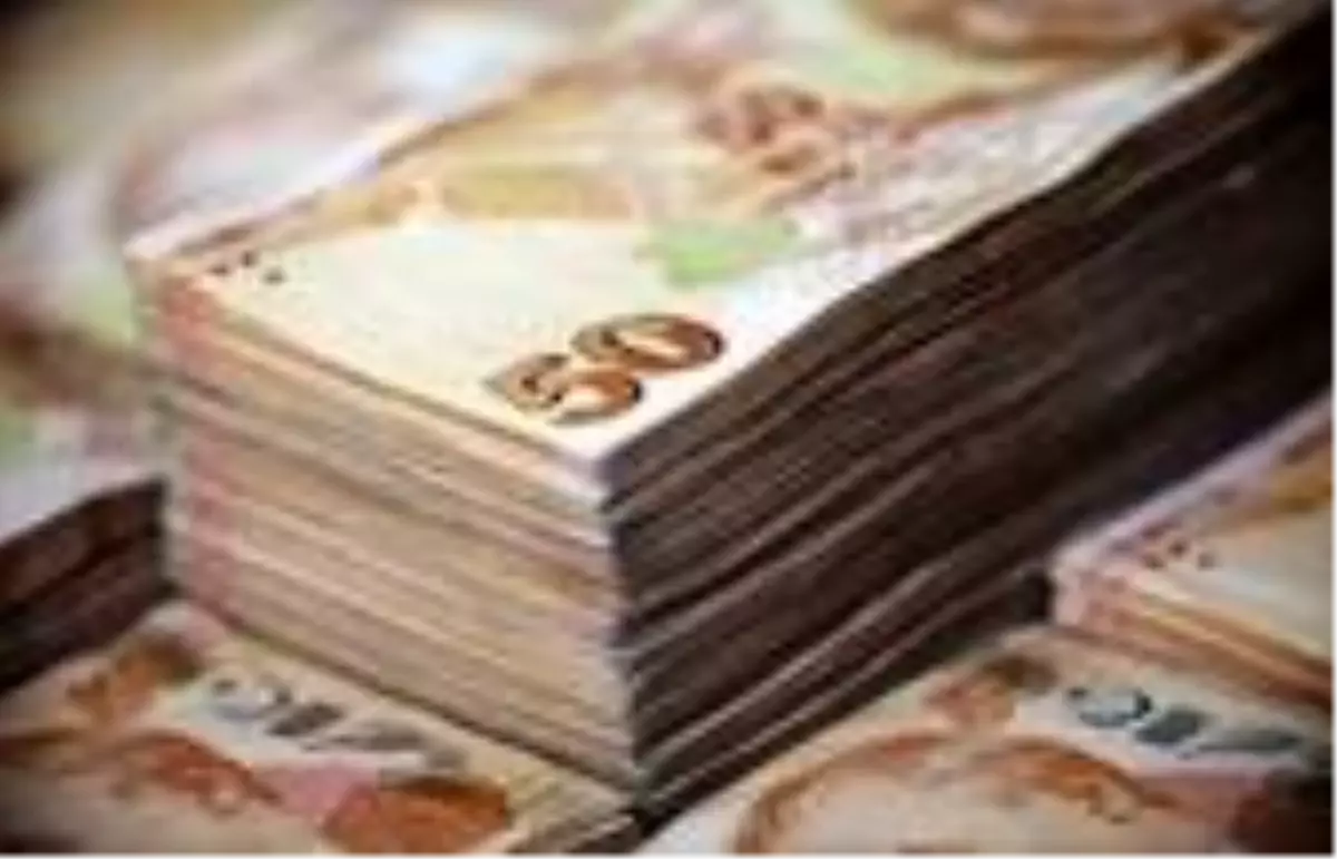 Kamu, şirketlerin hisse veya tahvillerini alsın