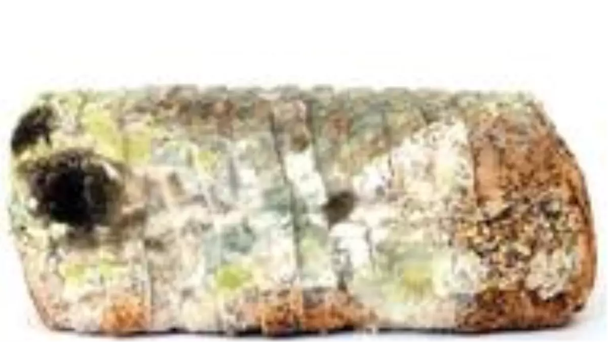 Karantina günlerinde yiyeceklerin ömrünü uzatmanın 10 yolu