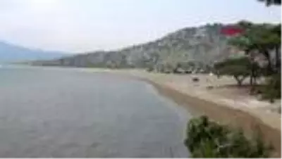 Koronavirüs tedbirleri caretta carettalara yaradı