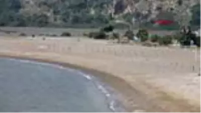 Koronavirüs tedbirleri caretta carettalara yaradı Koronavirüs tedbirleri caretta carettalara yaradı
