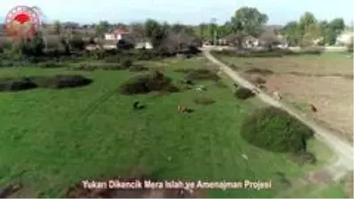 Samsun'da meralarda hayvan otlatma sezonu açıldı Samsun'da meralarda hayvan otlatma sezonu açıldı