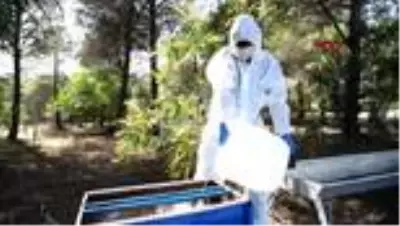 Sokaktaki dostlar unutulmadı Sokaktaki dostlar unutulmadı