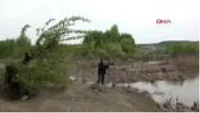 DİYARBAKIR Bıyıklı kamışçın, bilim insanlarını heyecanlandırdı